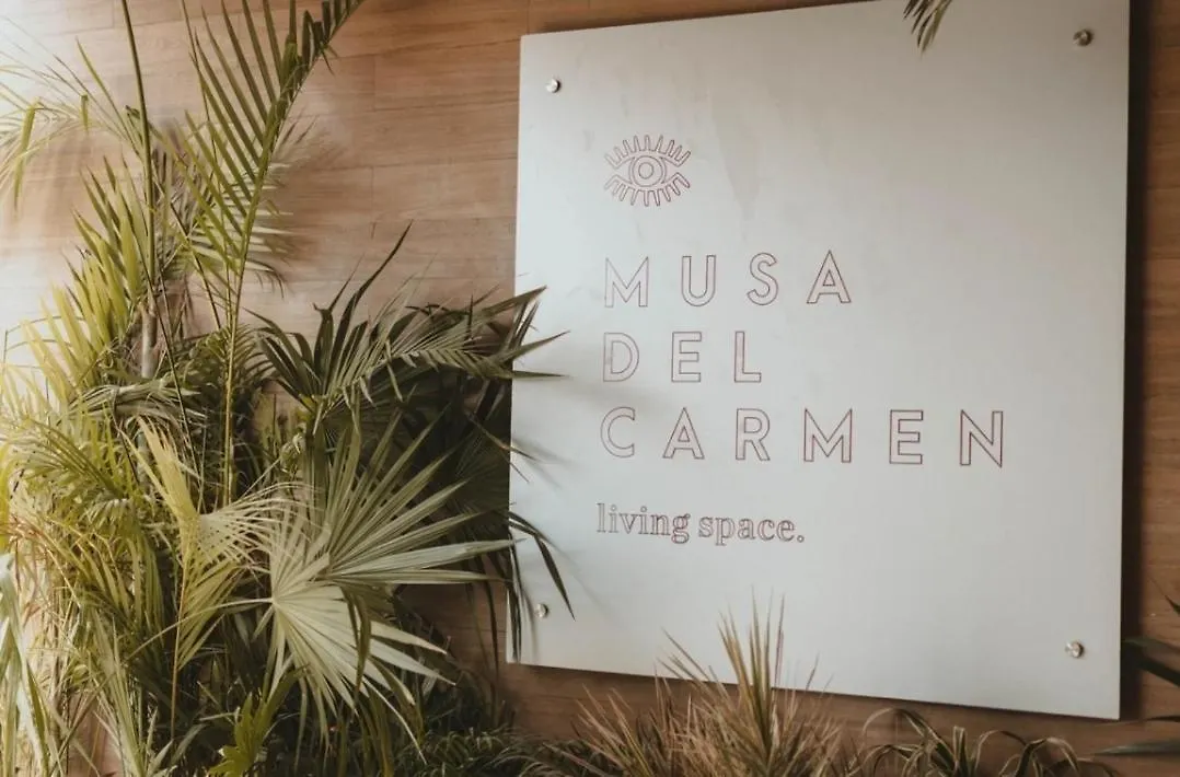 Apartment Musa 318 Playa del Carmen